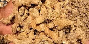 Dehydrated Ginger