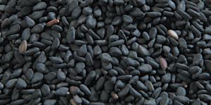 Black Sesame Seeds