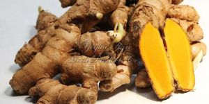 Turmeric
