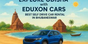 Car Rentals