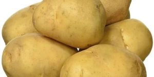 A Grade Fresh Sugar Free Potato