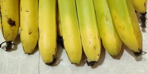 Fresh Banana