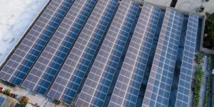 Floating Solar Light