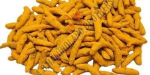 Whole Turmeric Finger
