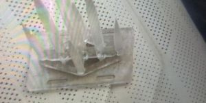 Bird Spikes