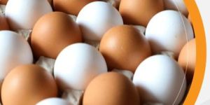 Farm Eggs