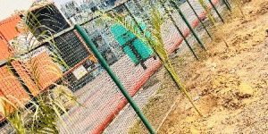 Plant Installation Services
