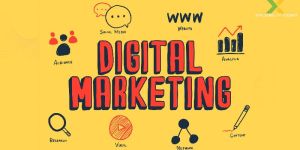 Web Designing Agency