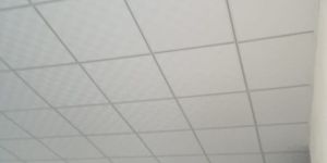 Grid Ceiling