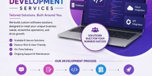 Customized Software Development Services