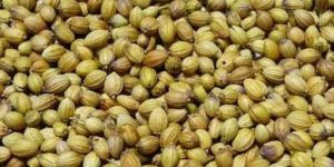 Eagle Coriander Seeds