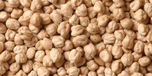 Kabuli Chana