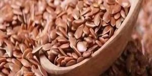 Organic Alsi Seeds