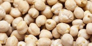 White Chana