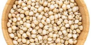 White Sorghum Seeds