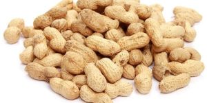 Natural Shelled Peanuts