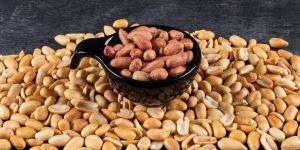 Premium Gg Peanuts