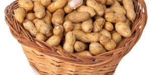 Premium Peanut Seeds