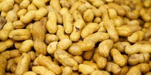 Premium Runner Peanuts