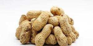 Processed Food Grade Peanuts