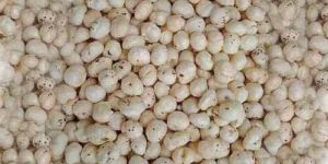 5 Plus Suta Phool Makhana