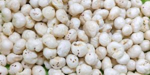5 Suta Phool Makhana