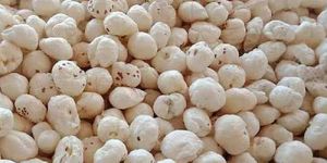 Super Jumbo Makhana