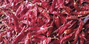 Dry Red Chilli