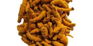 Turmeric Finger