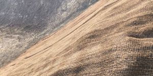 Coir Geotextile