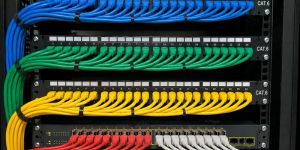 Networking Cable