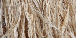 Banana Fibre