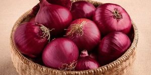 Onion