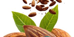 Almond