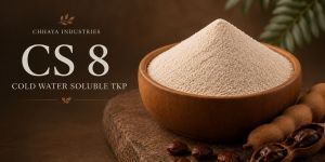 Cold Water Soluble Tamarind Kernel Powder