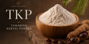 Tamarind Kernel Powder