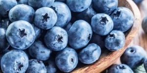 Frozen Blueberry