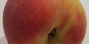 Frozen Peach