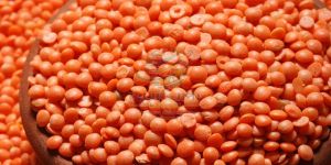 Red Whole Masoor Dal