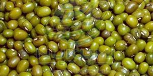 Whole Green Moong Dal
