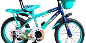 16 Inch Ibc Bmx Dual Shade Kids Bicycle