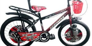 20 Inch Ibc Bmx Dual Shade Kids Bicycle