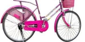 20 Inch Pink C Bar Lady Bicycle