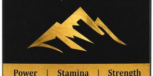 Shilajit Capsules