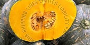 Fresh Pumpkin