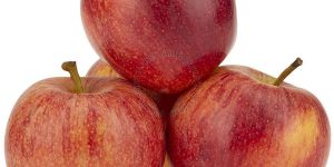Fresh Red Apple
