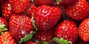 Fresh Strawberry