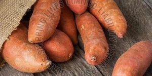 Fresh Sweet Potato