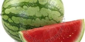 Fresh Watermelon