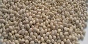 Lupin Beans